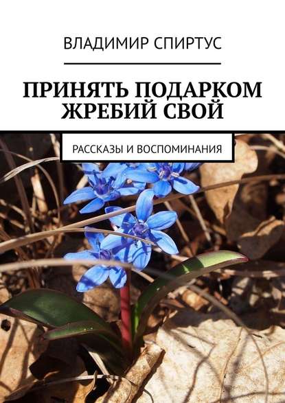 Принять подарком жребий свой. Рассказы и воспоминания - Владимир Спиртус