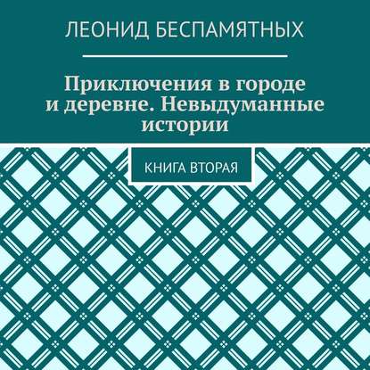 Приключения в городе и деревне. Невыдуманные истории. Книга вторая - Леонид Викторович Беспамятных