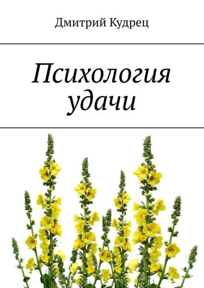 Психология удачи — Дмитрий Кудрец