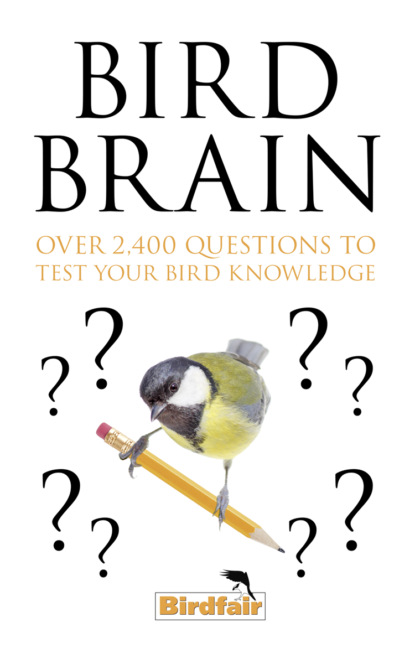 Bird Brain: Over 2,400 Questions to Test Your Bird Knowledge — Литагент HarperCollins USD