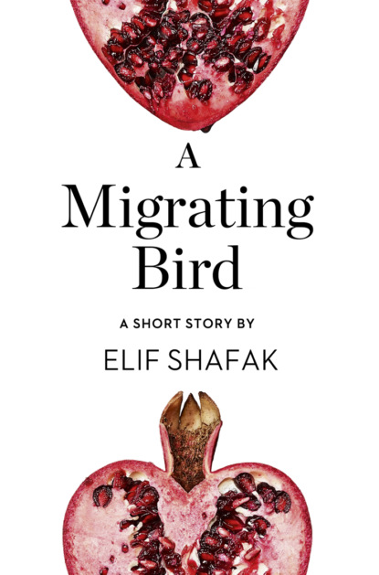 A Migrating Bird: A Short Story from the collection, Reader, I Married Him — Элиф Шафак