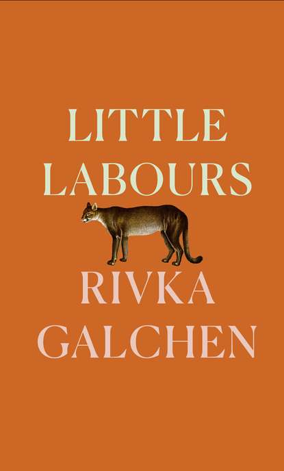 Little Labours — Ривка Голчен