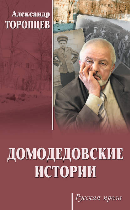 Домодедовские истории (сборник) — Александр Торопцев