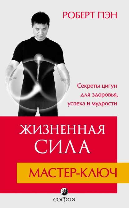 Жизненная Сила. Мастер-ключ — Роберт Пэн