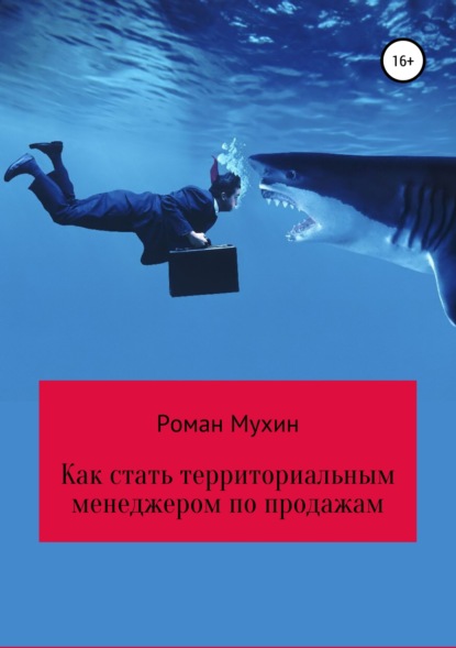 Как стать территориальным менеджером по продажам — Роман Николаевич Мухин