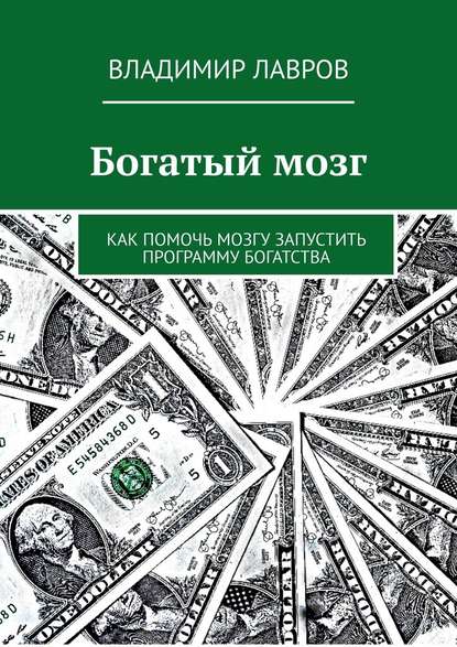 Богатый мозг. Как помочь мозгу запустить программу богатства — Владимир Сергеевич Лавров