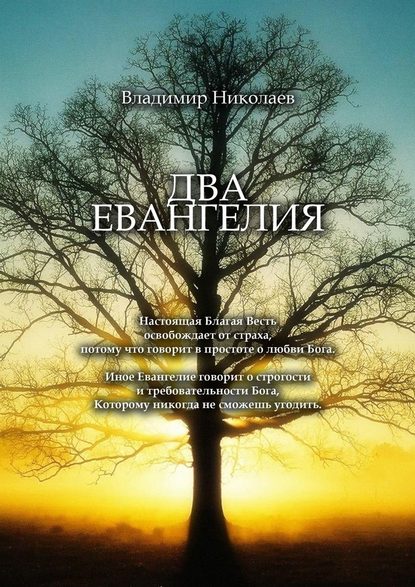 Два Евангелия. Современные и вечные проблемы христианства, отношений человека и Бога - Владимир Николаев