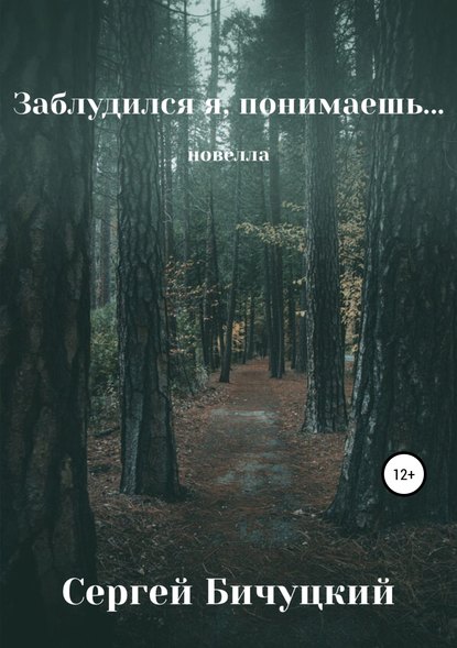 Заблудился я, понимаешь… - Сергей Марксович Бичуцкий