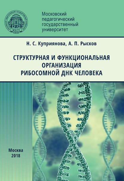 Структурная и функциональная организация рибосомной ДНК человека - Н. С. Куприянова