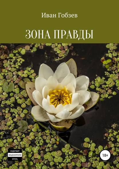 Зона Правды — Иван Александрович Гобзев