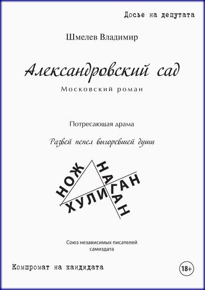 Александровский сад. Московский роман — Владимир Шмелев