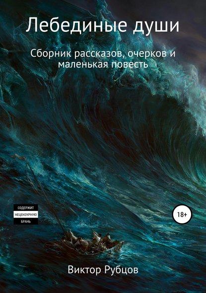 Лебединые души. Сборник рассказов и маленькая повесть — Виктор Николаевич Рубцов