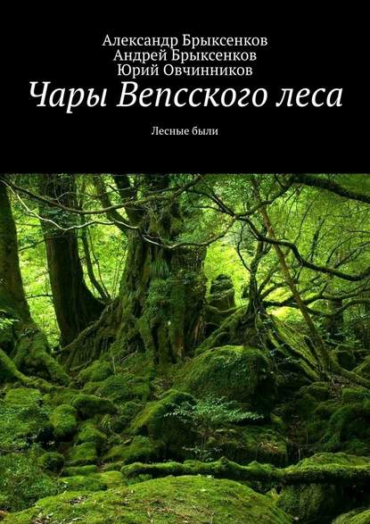 Чары Вепсского леса. Лесные были — Александр Брыксенков