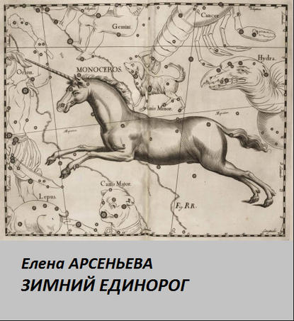 Зимний единорог — Елена Арсеньева