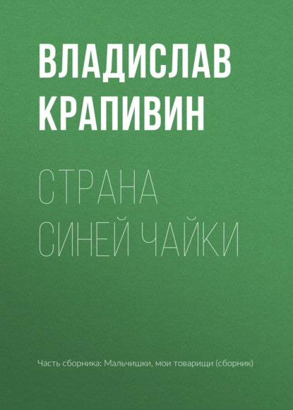 Мальчишки, мои товарищи - Владислав Крапивин