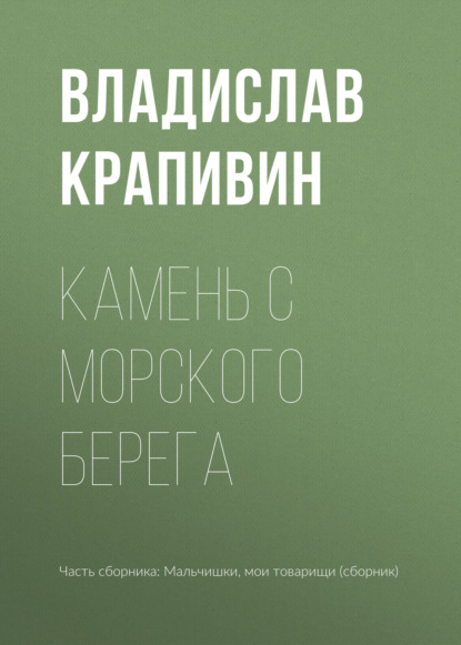 Камень с морского берега — Владислав Крапивин