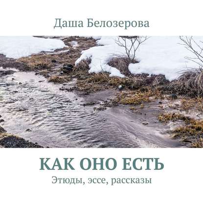 Как оно есть. Этюды, эссе, рассказы - Даша Белозерова