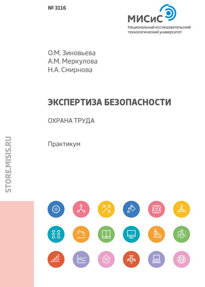 Экспертиза безопасности. Охрана труда - Н. А. Смирнова