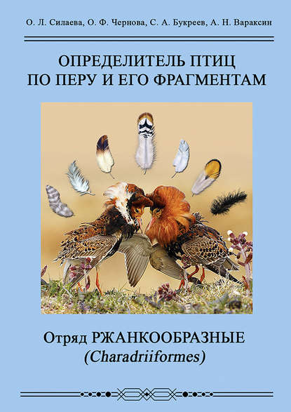 Определитель птиц по перу и его фрагментам. Отряд Ржанкообразные (Сharadriiformes) - А. Н. Вараксин