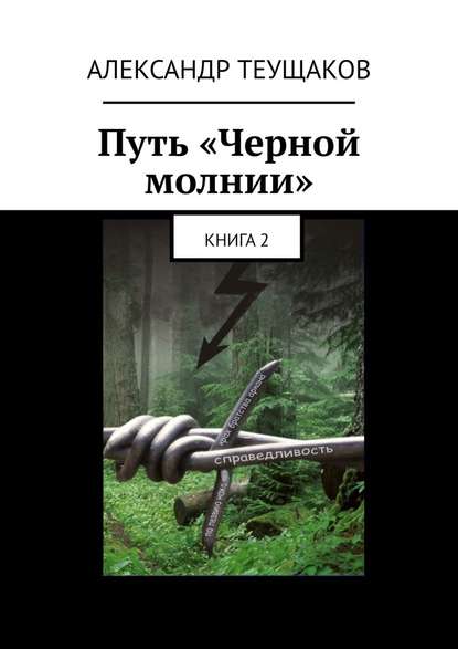 Путь «Черной молнии». Книга 2 — Александр Теущаков