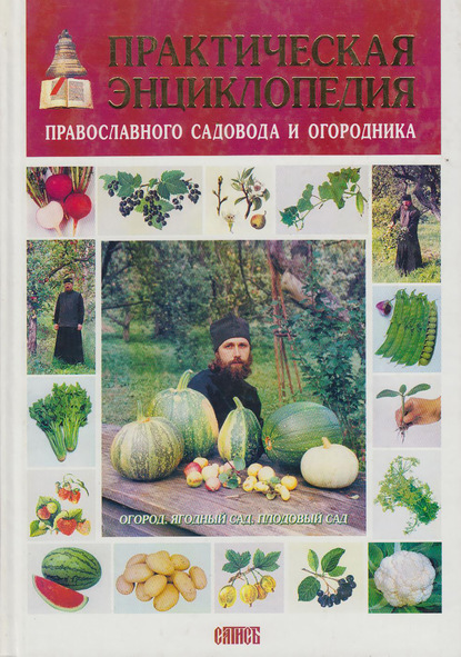 Практическая энциклопедия православного садовода и огородника - Екатерина Володина