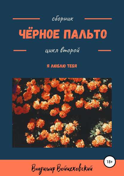 Чёрное пальто. Я люблю тебя. Сборник стихотворений. Цикл второй - Владимир Александрович Смирнов