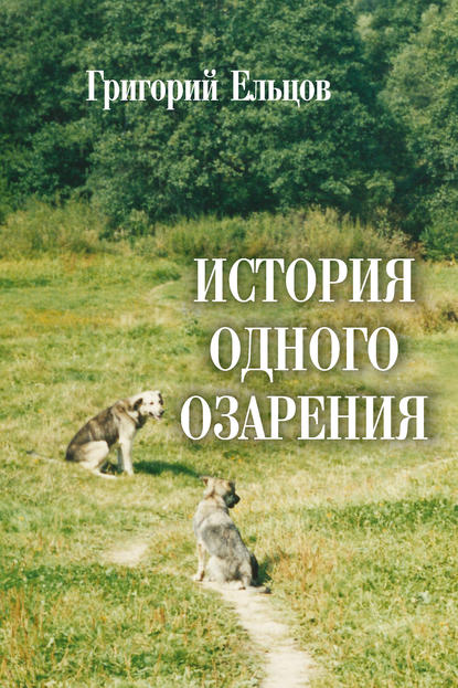 История одного озарения — Григорий Ельцов