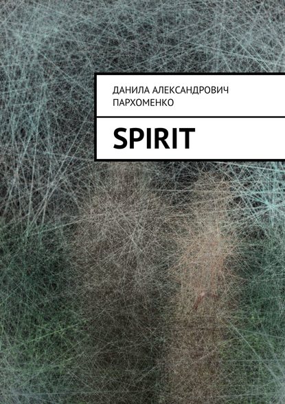 Spirit - Данила Александрович Пархоменко