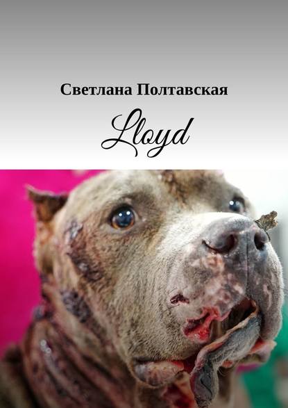 Lloyd — Светлана Полтавская