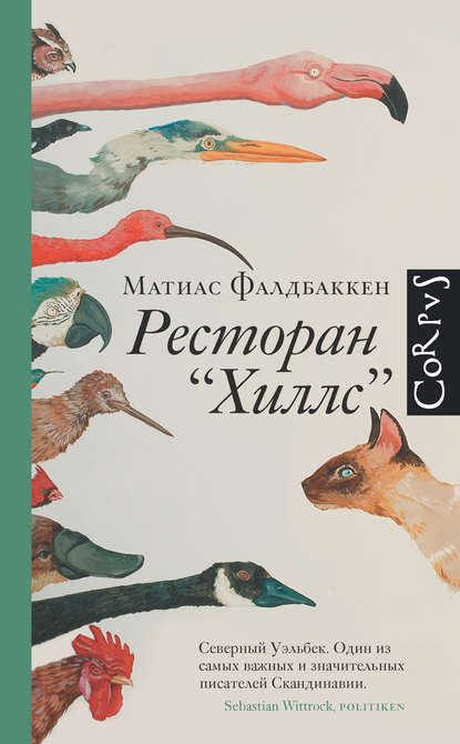 Ресторан «Хиллс» — Матиас Фалдбаккен