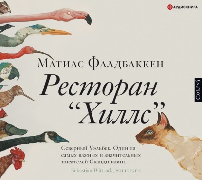 Ресторан «Хиллс» — Матиас Фалдбаккен