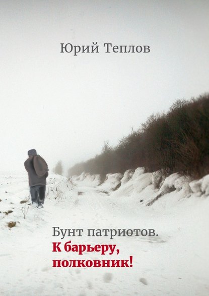 Бунт патриотов. К барьеру, полковник! — Юрий Теплов