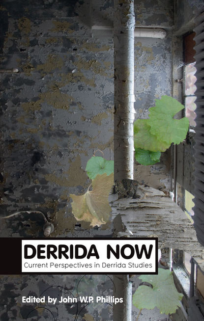 Derrida Now - Группа авторов