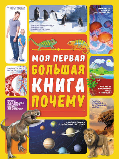 Моя первая большая книга ПОЧЕМУ — Д. И. Ермакович