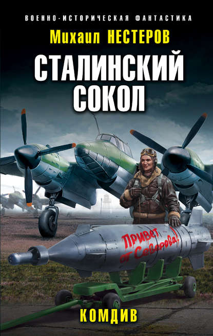 Сталинский сокол. Комдив - Михаил Нестеров