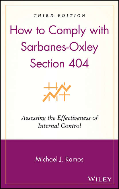 How to Comply with Sarbanes-Oxley Section 404 - Группа авторов