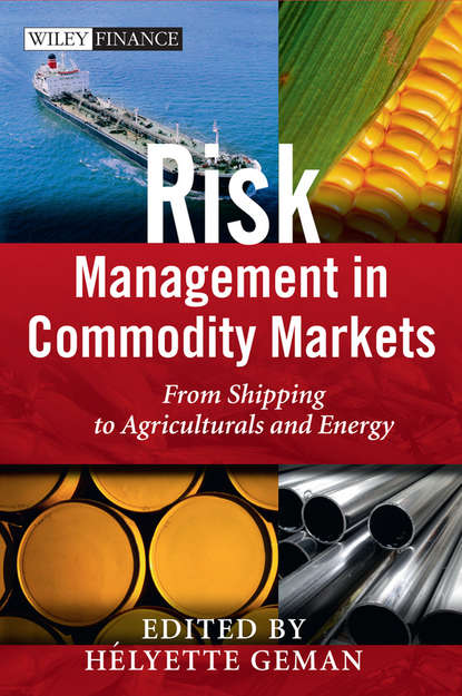 Risk Management in Commodity Markets — Группа авторов