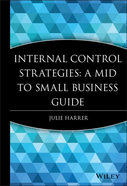 Internal Control Strategies — Группа авторов