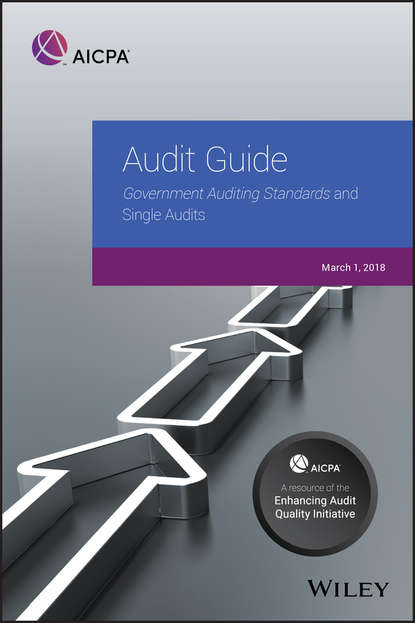 Audit Guide — Группа авторов