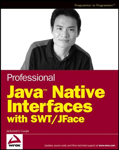 Professional Java Native Interfaces with SWT / JFace — Группа авторов