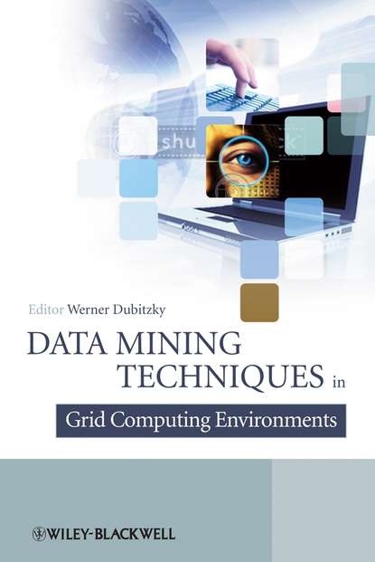 Data Mining Techniques in Grid Computing Environments — Группа авторов