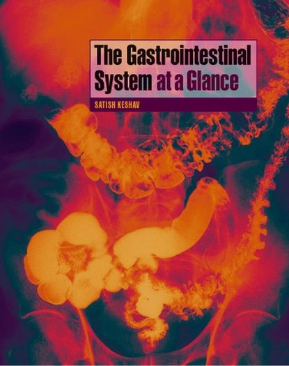 The Gastrointestinal System at a Glance - Группа авторов