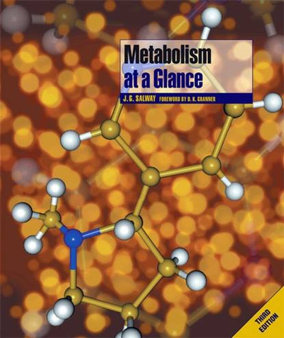 Metabolism at a Glance — Группа авторов