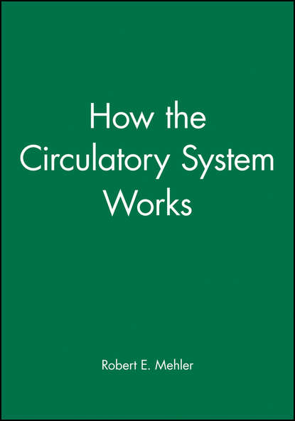 How the Circulatory System Works - Группа авторов