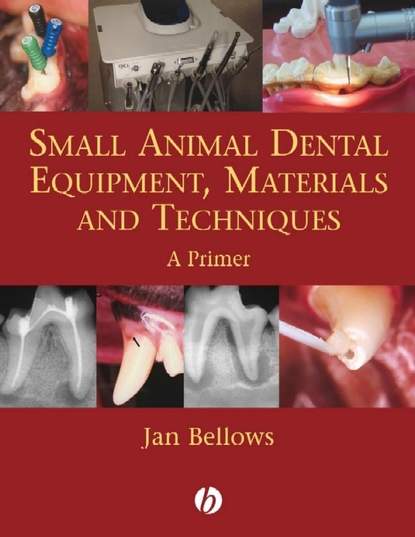 Small Animal Dental Equipment, Materials and Techniques - Группа авторов