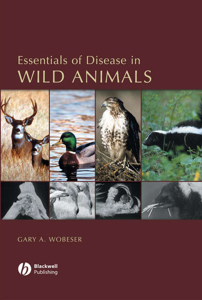 Essentials of Disease in Wild Animals - Группа авторов