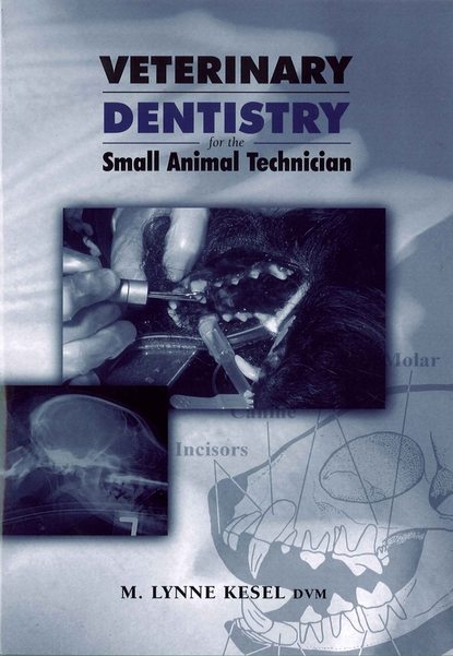 Veterinary Dentistry for the Small Animal Technician - Группа авторов