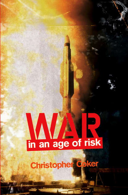 War in an Age of Risk — Группа авторов