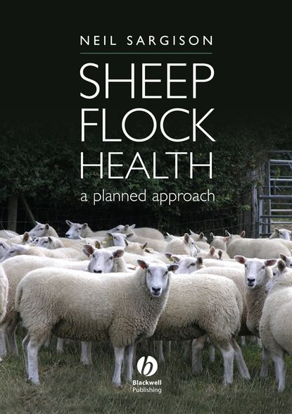 Sheep Flock Health - Группа авторов