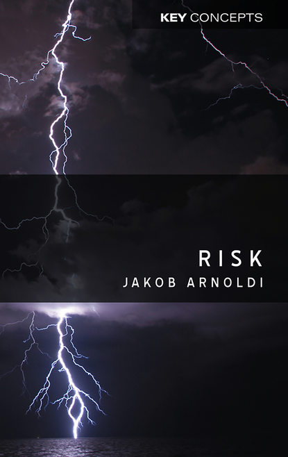 Risk — Группа авторов